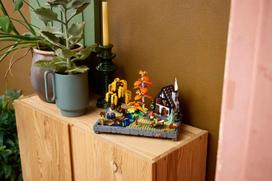 sodo nameliai - LEGO Autumn Cottage Garden 11372 - 14 nuotrauka