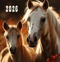 Kalendorius kvadratinės formos 2026, Žirgai