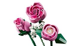 puokstes - LEGO Botanical Collection Rausvų rožių puokštė 10374 - 9 nuotrauka
