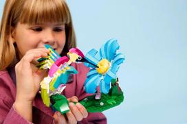 lego 3 in 1 - LEGO CREATOR 3 IN 1 Wild Animals: Colorful Hummingbird 31384 - 11 nuotrauka