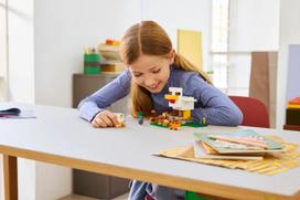 minecraft zaislai - LEGO Minecraft Viščiukų ūkis 21585 - 9 nuotrauka