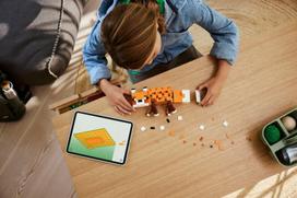 senukai minecraft lego - LEGO MINECRAFT The Fox 21588 - 12 nuotrauka