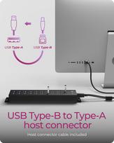 icy box - Icy Box IB-HUB1720-U3 20-in-1 USB HUB su maitinimo šaltiniu (Juodas/Black) - 2 nuotrauka
