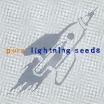 LIGHTNING SEEDS: PURE LIGHTNING SEEDS CD