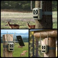 stream kamera - Reolink Talon S130 4K 4G LTE Trail Camera 8MP IP67 - 2 nuotrauka