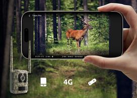 stream kamera - Reolink Talon S130 4K 4G LTE Trail Camera 8MP IP67 - 8 nuotrauka