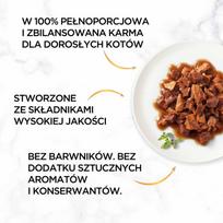 gourmet gold savoury - GOURMET Gold kachna a krůtí v omáčce85 g - 3 nuotrauka