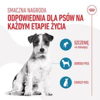 110 - Skanėstas šunims Royal Canin Training Treats, paukštiena, 0.11 kg - 4 nuotrauka