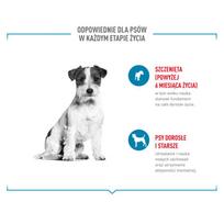 110 - Skanėstas šunims Royal Canin Training Treats, paukštiena, 0.11 kg - 9 nuotrauka