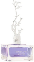 Aurora Deciduous Winter EDP 100 ml