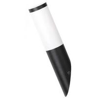 Sieninis šviestuvas RABALUX Black torch 8145