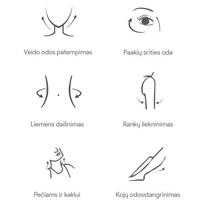 volelis veidui - Be Osom Face Roller Massager White BEOSOM1506WH veido ir kūno masažuoklis (Baltas) - 2 nuotrauka