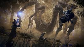elden ring ps5 - Elden Ring Nightreign PS5 - 8 nuotrauka