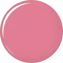 L'oreal Infaillible 24H Lipstick ilgai išliekantys lūpų dažai ir balzamas - 213 Toujours Teaberry