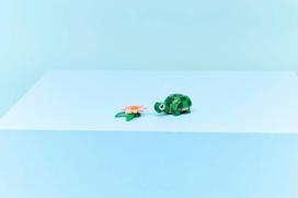 lego flower - LEGO Creator Vėžlys su vandens lelijos žiedu 31377 - 3 nuotrauka