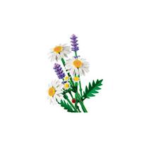 lego konstruktoris - LEGO Botanicals Ramunės 11508 - 6 nuotrauka