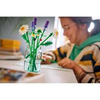 lego konstruktoris - LEGO Botanicals Ramunės 11508 - 7 nuotrauka