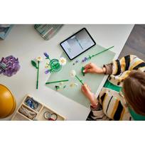 lego konstruktoris - LEGO Botanicals Ramunės 11508 - 9 nuotrauka