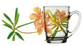 Luminarc New Morning Freesia, skaidri/įvairių spalvų, 320 ml