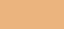 Bobbi Brown Skin Concealer Stick maskuoklis - Warm Natural