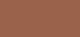 Bobbi Brown Skin Corrector Stick maskuoklis - Very Deep Bisque