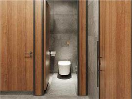 Unitazas, pakabinamas Hansgrohe EluPura Original S, su dangčiu, 360 mm x 540 mm