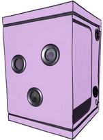 Secretdome Scandale - Purple bdsm ir fetišas