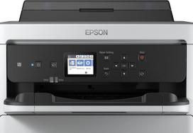 inui 10000 - EPSON C13T01C100 - 2 nuotrauka