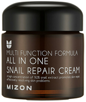 Mizon All In One Snail Repair Cream drėkinamasis daugiafunkcinis veido kremas - 120 ml.