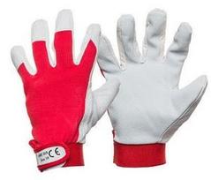 DD Smooth Pigskin Gloves With Clip 10