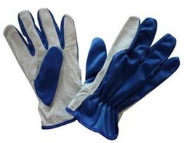 Diana Gloves Smooth Leather With Nylon 11