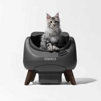 kraikas senukai - Catlink Open-X savaime išsivalantis automatinis kačių tualetas su APP, pilkas (Gray) - 1 nuotrauka