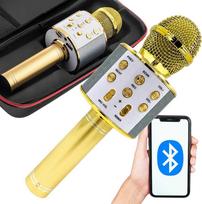 LEAN Toys belaidis mikrofonas su Bluetooth, karaoke garsiakalbiu bei dėklu (Auksinis)