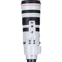 ef canon - Canon EF 200-400mm f/4L IS USM Extender 1.4x - 9 nuotrauka