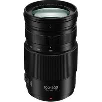 Panasonic LUMIX G VARIO 100-300mm F/4-5.6 Mega O.I.S.