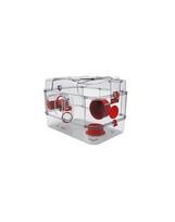 ZOLUX narvelis RODY3 SOLO red