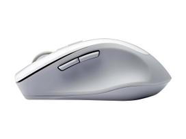 asus belaide pele - Asus WT425 Silver (Sidabrinė) - 2 nuotrauka