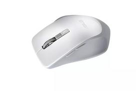 asus belaide pele - Asus WT425 Silver (Sidabrinė) - 7 nuotrauka