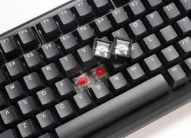 barebones keyboard - Ducky Tinker 75 Barebone Žaidimų Klaviatūra, RGB - Juoda (Black) - 5 nuotrauka