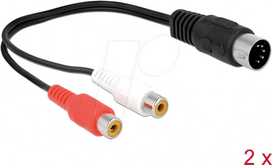 DeLOCK 85835 Audio kabelis DIN 5-pin (M) į 2 x RCA (F) 0.2 m Juodas (Black)