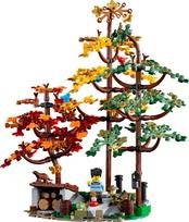 namelio a - LEGO Ideas Dvišlaitis namelis 21338 - 4 nuotrauka