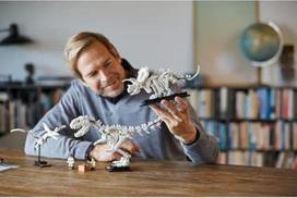 fosilij - LEGO Ideas Dinozaurų fosilijos 21320  - 2 nuotrauka