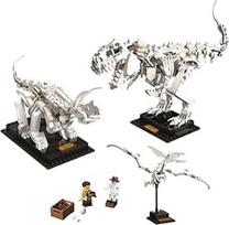 fosilij - LEGO Ideas Dinozaurų fosilijos 21320  - 3 nuotrauka