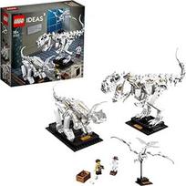 fosilij - LEGO Ideas Dinozaurų fosilijos 21320  - 4 nuotrauka