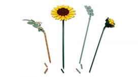 lego botanical - LEGO BOTANICALS Sunflower Bouquet 11502 - 4 nuotrauka