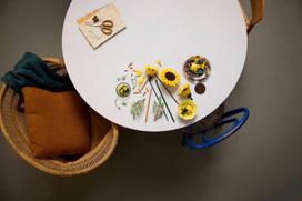 lego botanical - LEGO BOTANICALS Sunflower Bouquet 11502 - 7 nuotrauka
