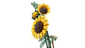 lego botanical - LEGO BOTANICALS Sunflower Bouquet 11502 - 11 nuotrauka