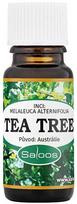 Saloos eterinis aliejus Arbatmedis (Tea Tree), 10 ml