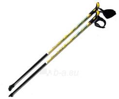 Šiaurietiško ėjimo lazdos Active Plus 125 cm