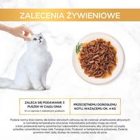 gourmet gold - Purina Gourmet Gold Sauce Delights Beef, 0.085 kg - 4 nuotrauka